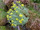 DSCN1313_redigerad